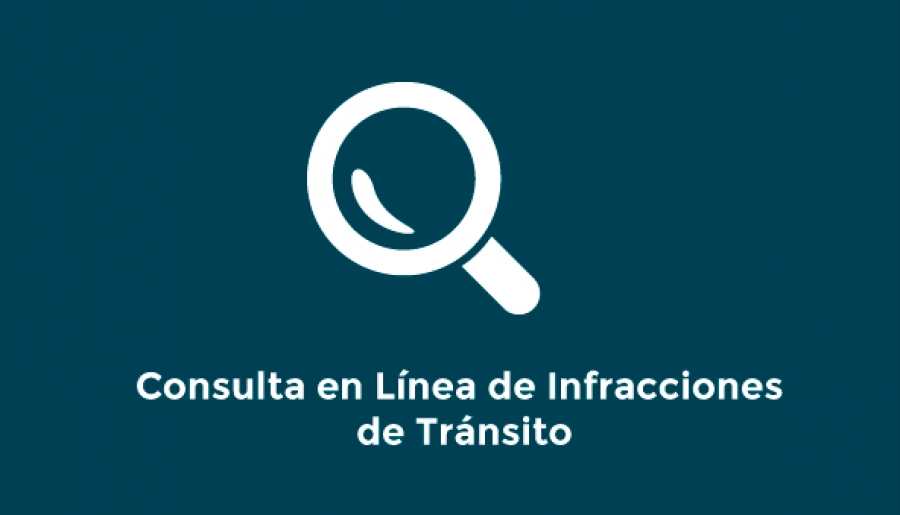 1. Consultas sobre Multas de Tránsito