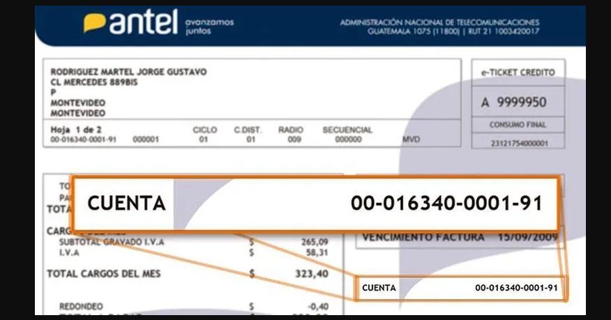 Cómo sacar duplicado de factura Antel en Uruguay