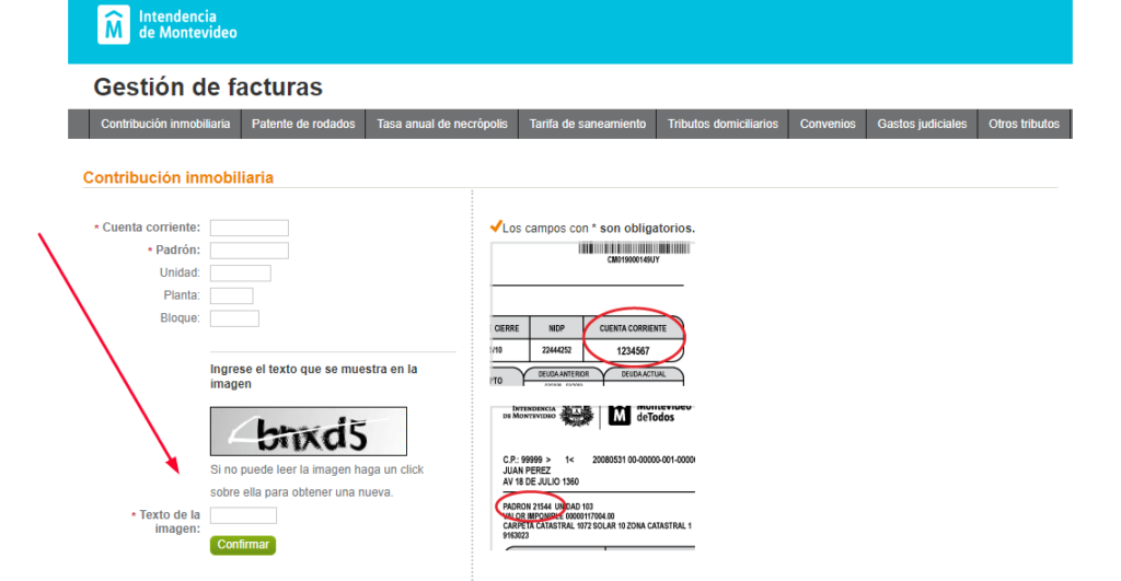 IMM Duplicado de Factura en Uruguay